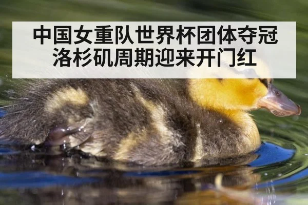 中国女重队世界杯团体夺冠洛杉矶周期迎来开门红