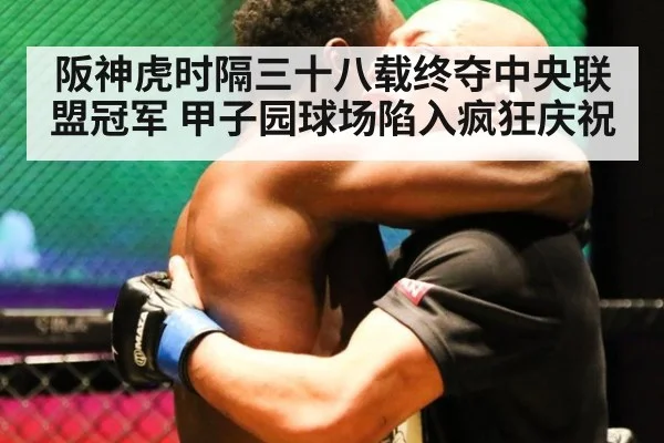 阪神虎时隔三十八载终夺中央联盟冠军 甲子园球场陷入疯狂庆祝